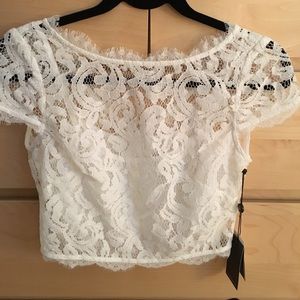 Adrianna Papell Lace Crop Top